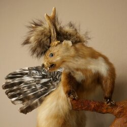 Wolpertinger Fabelwesen Marder mit Rehgeweih Flügel Punkfrisur Wolpi Präparat Höhe 59 cm