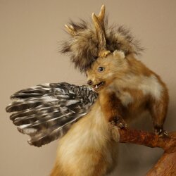 Wolpertinger Fabelwesen Marder mit Rehgeweih Flügel Punkfrisur Wolpi Präparat Höhe 59 cm