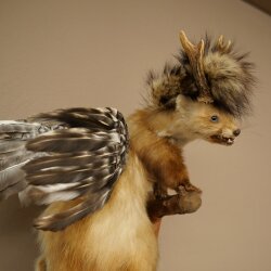Wolpertinger Fabelwesen Marder mit Rehgeweih Flügel Punkfrisur Wolpi Präparat Höhe 59 cm