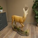 Roebuck, Whole Mount, Standing on a Decorative Pedestal 84.10.6
