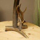 Stehlampe aus Rothirsch Rehbock Stange 1 flammig Lampe Leuchte Lampenschirm
