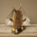 Wolpertinger «Wolpi» grande, disecado de rata almizclera, ojos verdes, con alas, cuernos, bastón y linterna. Altura: 38 cm. Criatura mítica. Regalo divertido. 86.14.14