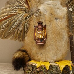 Wolpertinger «Wolpi» grande, disecado de rata almizclera, ojos verdes, con alas, cuernos, bastón y linterna. Altura: 38 cm. Criatura mítica. Regalo divertido. 86.14.14