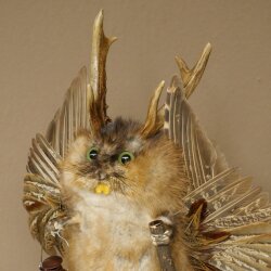 Wolpertinger «Wolpi» grande, disecado de rata almizclera, ojos verdes, con alas, cuernos, bastón y linterna. Altura: 38 cm. Criatura mítica. Regalo divertido. 86.14.14