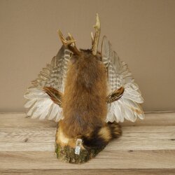 Wolpertinger «Wolpi» grande, disecado de rata almizclera, ojos verdes, con alas, cuernos, bastón y linterna. Altura: 38 cm. Criatura mítica. Regalo divertido. 86.14.14