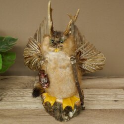 Wolpertinger «Wolpi» grande, disecado de rata almizclera, ojos verdes, con alas, cuernos, bastón y linterna. Altura: 38 cm. Criatura mítica. Regalo divertido. 86.14.14