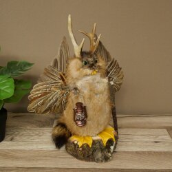 Wolpertinger «Wolpi» grande, disecado de rata almizclera, ojos verdes, con alas, cuernos, bastón y linterna. Altura: 38 cm. Criatura mítica. Regalo divertido. 86.14.14