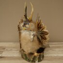 Wolpertinger Wolpi Musk Specimen with Stick, Deer...