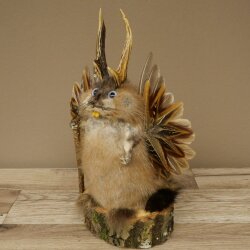 Wolpertinger Wolpi Bisam Präparat mit Stock Rehgeweih lila Augen Fabelwesen 86.4.139