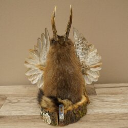 Wolpertinger Wolpi Bisam Präparat mit Stock Rehgeweih lila Augen Fabelwesen 86.4.139