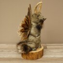 Wolpertinger Murmel Präparat Plüsch Fabelwesen mit Flügel Bart Geweih Wolpi 86.16.48