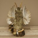Wolpertinger Murmel Präparat Plüsch Fabelwesen mit Flügel Bart Geweih Wolpi 86.16.51