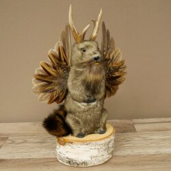 Wolpertinger Murmel Präparat Plüsch Fabelwesen mit Flügel Bart Geweih Wolpi 86.16.53