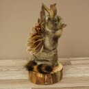 Wolpertinger Murmel Präparat Plüsch Fabelwesen mit Flügel Bart Geweih Wolpi 86.16.55