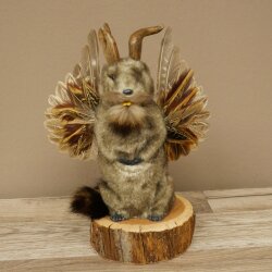 Wolpertinger Murmel Präparat Plüsch Fabelwesen mit Flügel Bart Geweih Wolpi 86.16.55