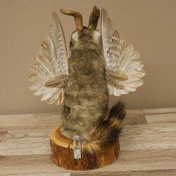 Wolpertinger Murmel Präparat Plüsch Fabelwesen mit Flügel Bart Geweih Wolpi 86.16.55