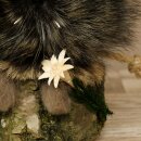 Wolpertinger Wolpi Präparat Mini auf Holz Edelweiss und lila Augen Höhe 21 cm 86.1.3.54
