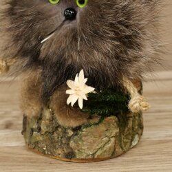 Wolpertinger Wolpi Präparat Mini auf Holz Edelweiss und grüne Augen Höhe 23 cm 86.1.3.56