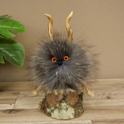 Wolpertinger Wolpi Mini Präparat orange Augen Höhe 22 cm 86.1.1.52