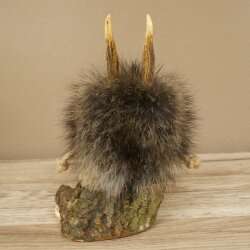 Wolpertinger Wolpi Mini Präparat gelbe Augen Höhe 22 cm 86.1.1.55
