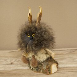 Wolpertinger Wolpi Mini Präparat gelbe Augen Höhe 22 cm 86.1.1.55