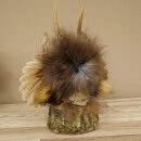 Wolpertinger Little Wolpi Taxidermy Specimen Purple Eyes...
