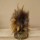 Wolpertinger, «Pequeño Wolpi», espécimen disecado, ojos morados, alas, cuernos de ciervo, 86.2.133