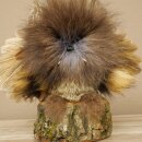 Wolpertinger, «Pequeño Wolpi», espécimen disecado, ojos morados, alas, cuernos de ciervo, 86.2.133