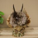Wolpertinger Little Wolpi Taxidermy Specimen White Eyes...