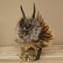 Wolpertinger, «Pequeño Wolpi», espécimen disecado, ojos blancos, alas, cuernos de corzo, cuerno, 86.2.134