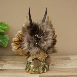 Wolpertinger, «Pequeño Wolpi», espécimen disecado, ojos blancos, alas, cuernos de corzo, cuerno, 86.2.134