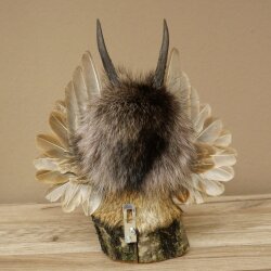 Wolpertinger, «Pequeño Wolpi», espécimen disecado, ojos blancos, alas, cuernos de corzo, cuerno, 86.2.134