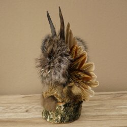 Wolpertinger, «Pequeño Wolpi», espécimen disecado, ojos blancos, alas, cuernos de corzo, cuerno, 86.2.134