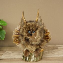 Wolpertinger Piccolo Wolpi Esemplare imbalsamato Occhi azzurri Ali Corna di capriolo Corno 86.2.135