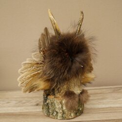 Wolpertinger Piccolo Wolpi Esemplare imbalsamato occhi arancioni ali corna di capriolo corno 86.2.136