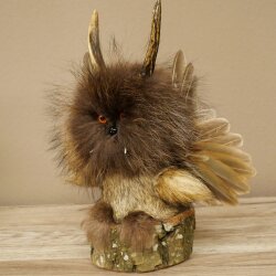 Wolpertinger Piccolo Wolpi Esemplare imbalsamato occhi arancioni ali corna di capriolo corno 86.2.136