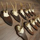 11 Roe Deer Antlers—Older Male Roe Deer, Male Roe Deer, Roe Deer Antler Set on Trophy Plaques 21,490