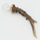Bottle Opener: Deer Antler, Antler Branch, Horn, Shed Antler; Length: 23.5 cm; 27.1.480