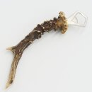Bottle Opener: Deer Antler, Antler Branch, Horn, Shed Antler; Length: 23.5 cm; 27.1.480