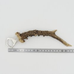 Bottle Opener: Deer Antler, Antler Branch, Horn, Shed Antler; Length: 23.5 cm; 27.1.480
