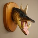 Pez-lobo, Wolpertinger, lucio-jabalí, lucio, ciervo, cuernos de ciervo, cabeza de jabalí, pez disecado