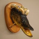 Fish Wolpi Wolpertinger Pike Boar Head Predator Fish Specimen 86.18.6