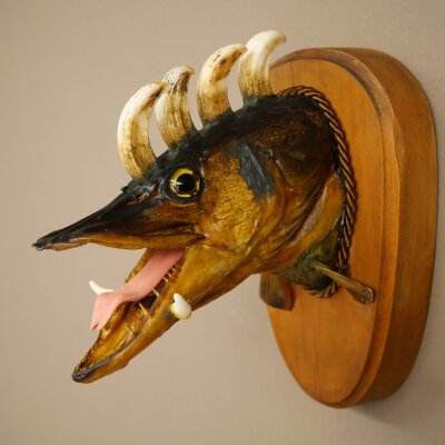 Fish Wolpi Wolpertinger Dragon Pike Pike Boar Head Fish Specimen