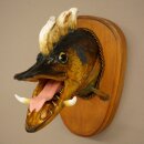 Fish Wolpi Wolpertinger Dragon Pike Pike Boar Head Fish Specimen