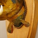 Fish Wolpi Wolpertinger Dragon Pike Pike Boar Head Fish Specimen