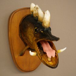 Fish Wolpi Wolpertinger Dragon Pike Pike Boar Head Fish Specimen