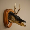 Fish-Wolpi Wolpertinger with Deer Antlers, Pike Head, Predatory Fish Taxidermy Specimen