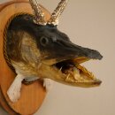Fish-Wolpi Wolpertinger with Deer Antlers, Pike Head, Predatory Fish Taxidermy Specimen