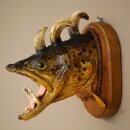 Fish Wolpi Wolpertinger Brook Trout Boars Horns Head Fish...