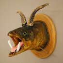 Fish-Wolf Wolpertinger with Deer Antlers, Head, Trout,...